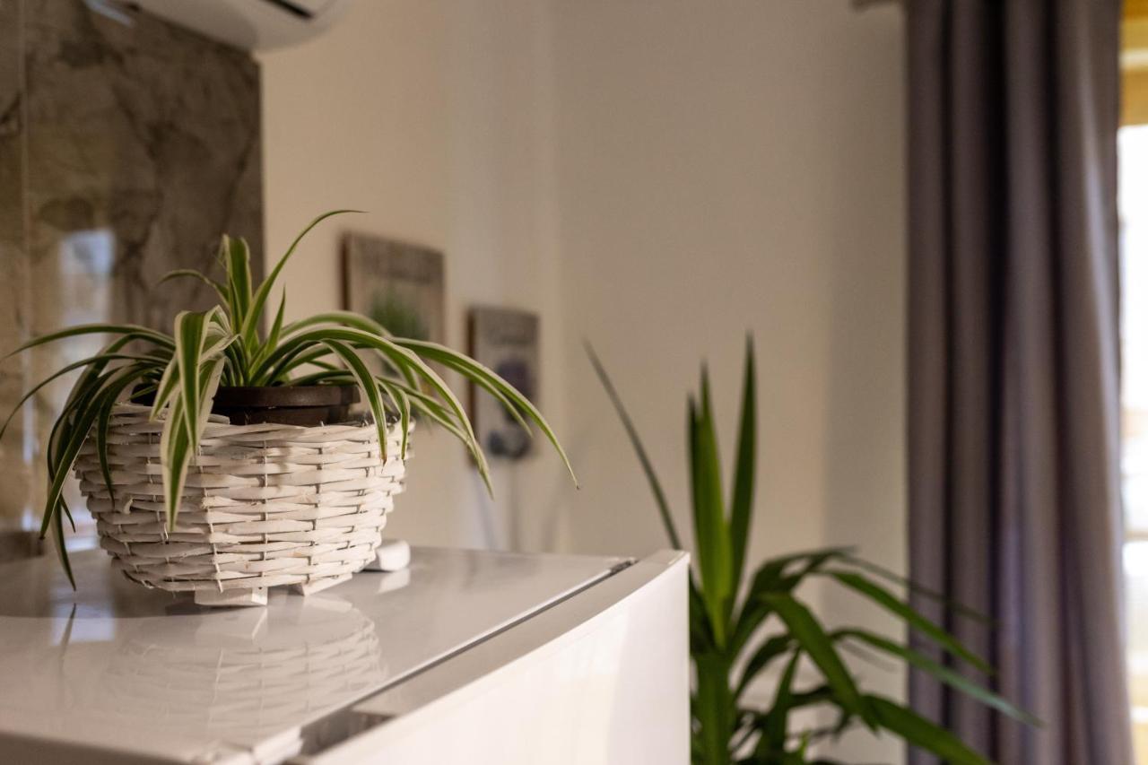 Studio Apartman Planb, Self Check In Osijek Exterior foto